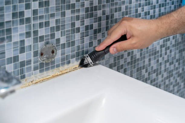 Best Residential Mold Removal  in Taft, TX
