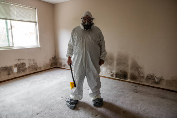 Best Residential Mold Removal  in Taft, TX